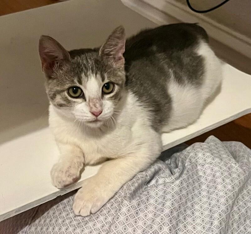 Meeny Baby — thumbnail 3