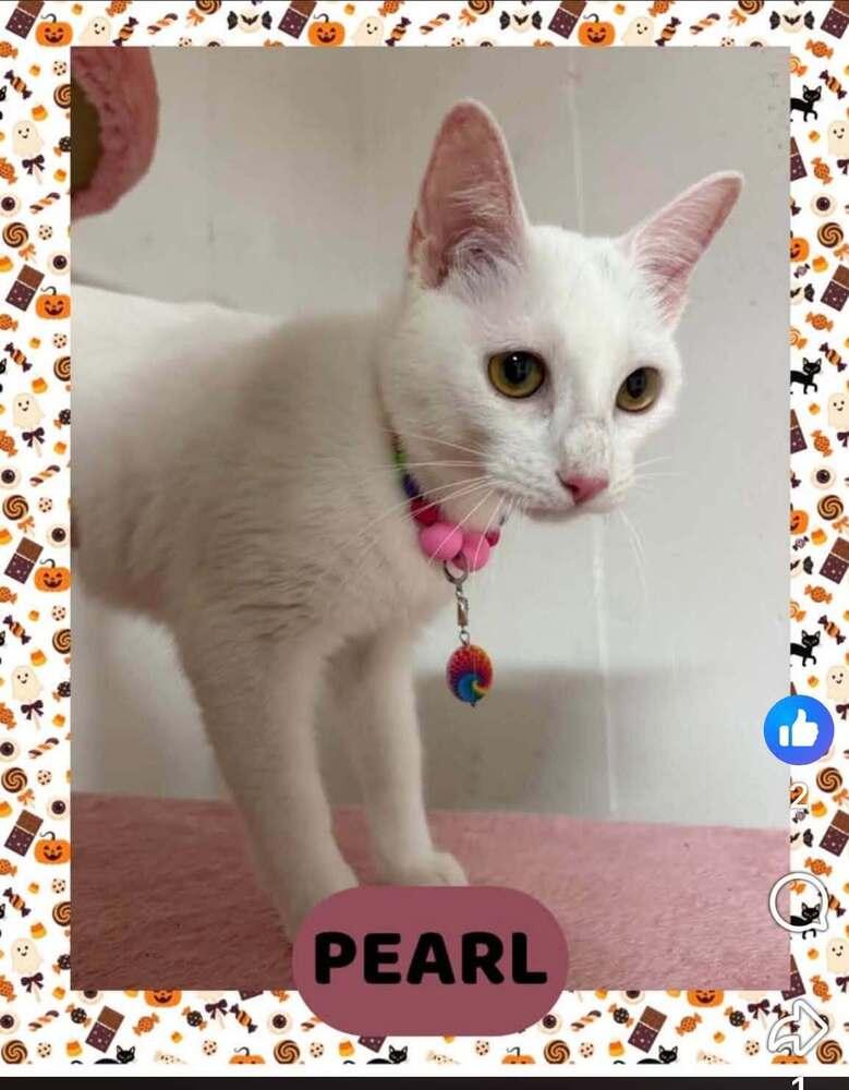 Pearl photo