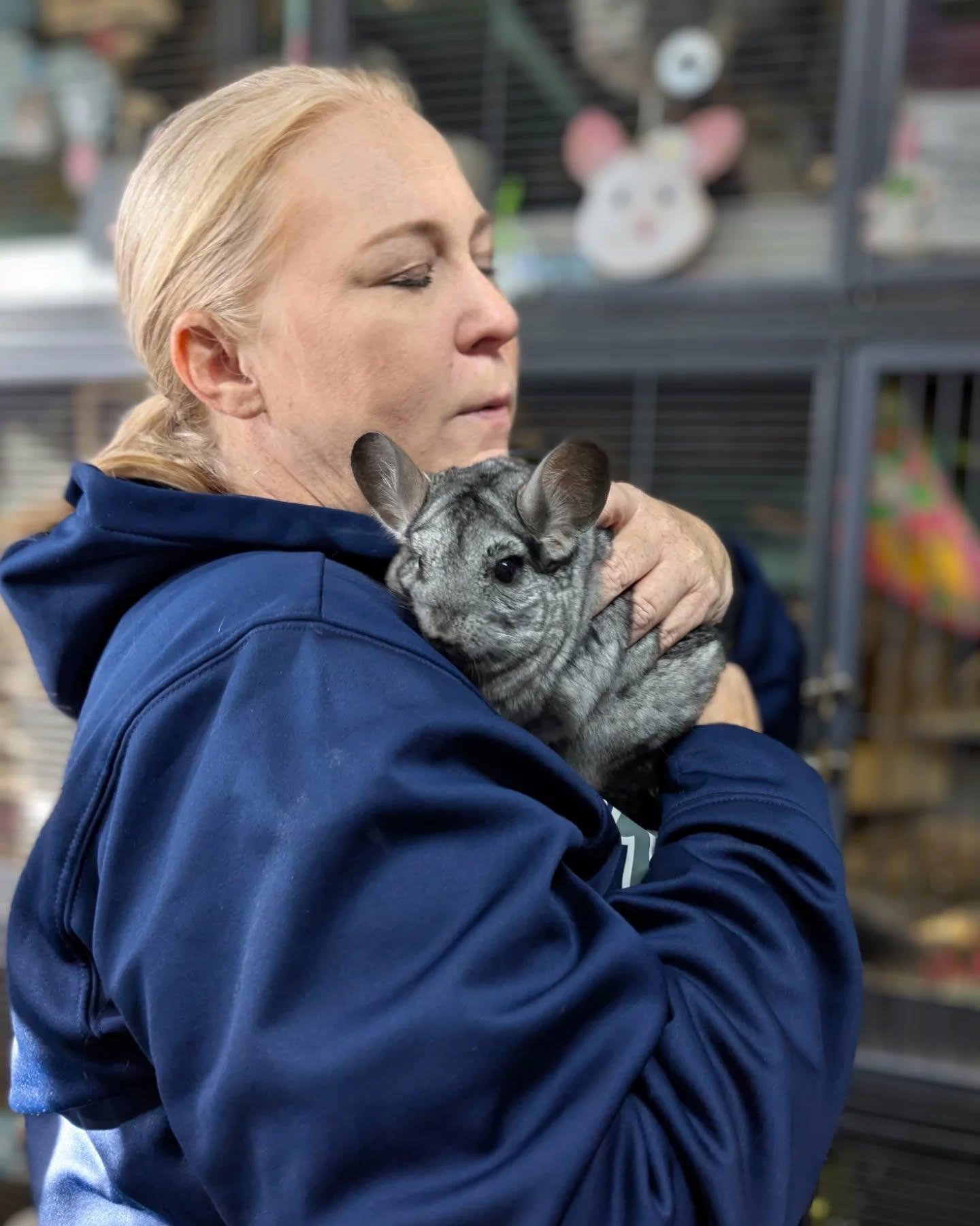 Gigi, a Adoptable Chinchilla in Modesto, CA image 1/4