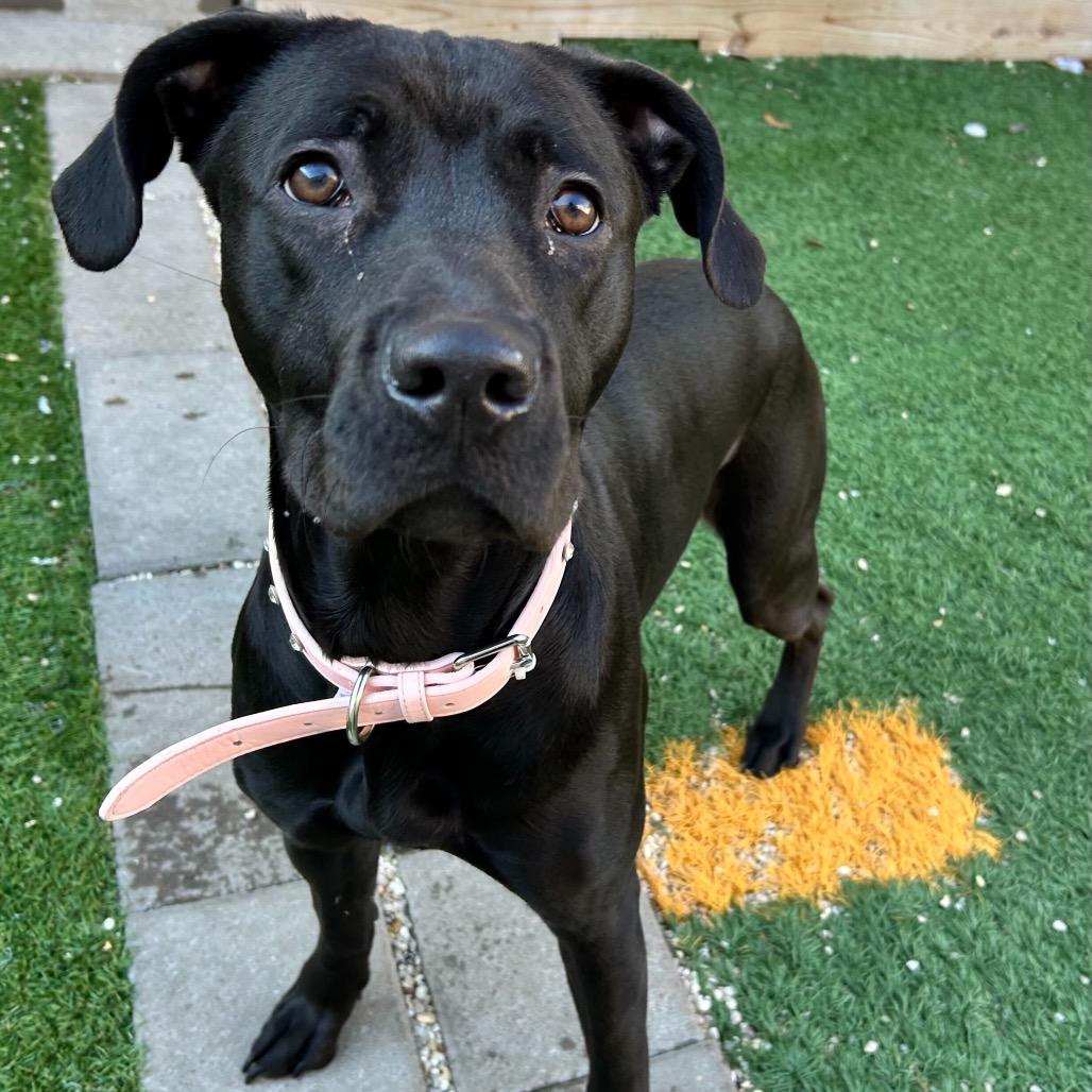 Kira — thumbnail 4