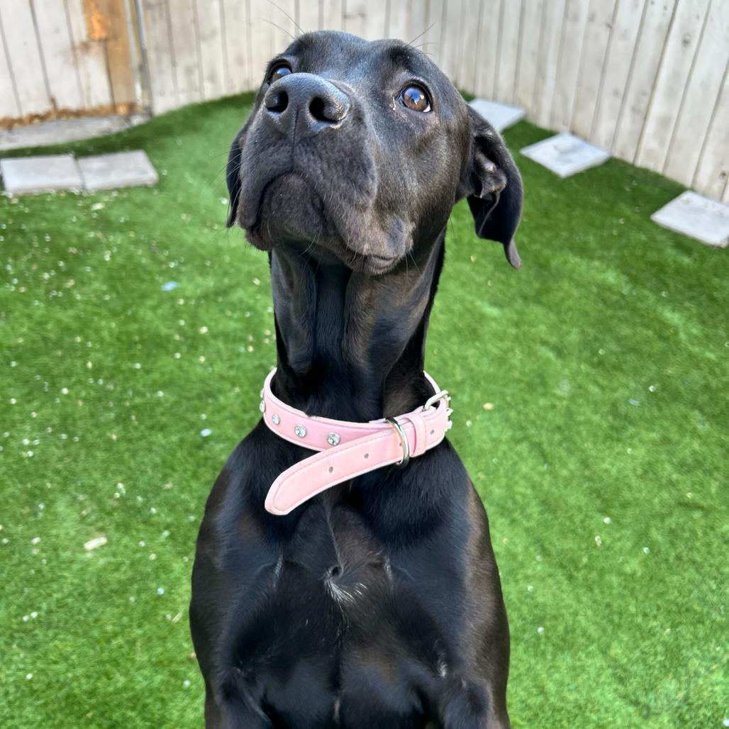 Kira — thumbnail 5