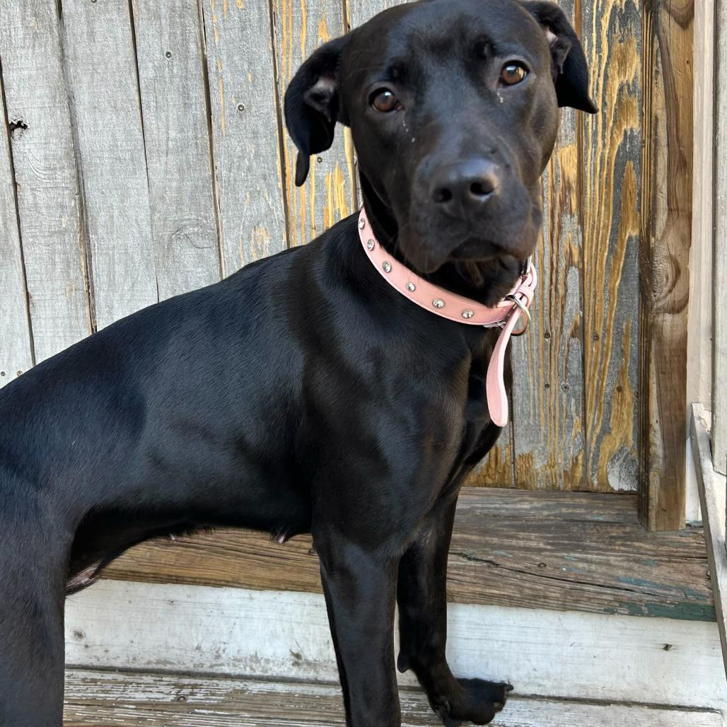 Kira — thumbnail 6