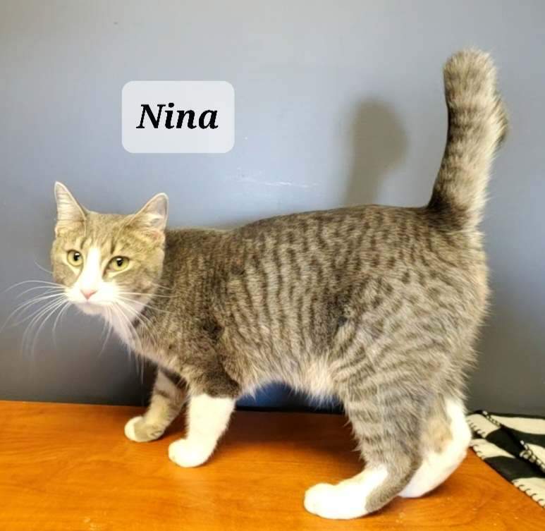 Nina photo 2