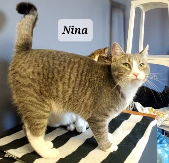 Nina photo 5