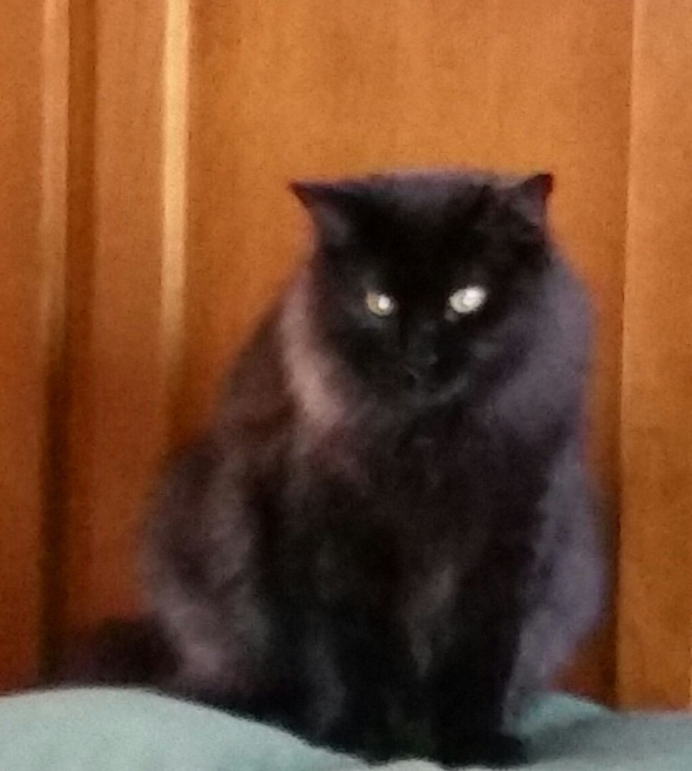 Mystique thumbnail 2