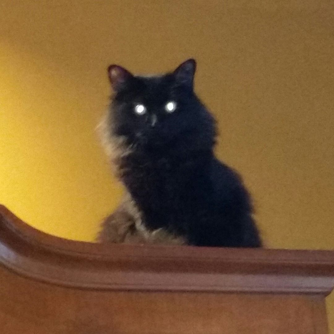 Mystique thumbnail 3