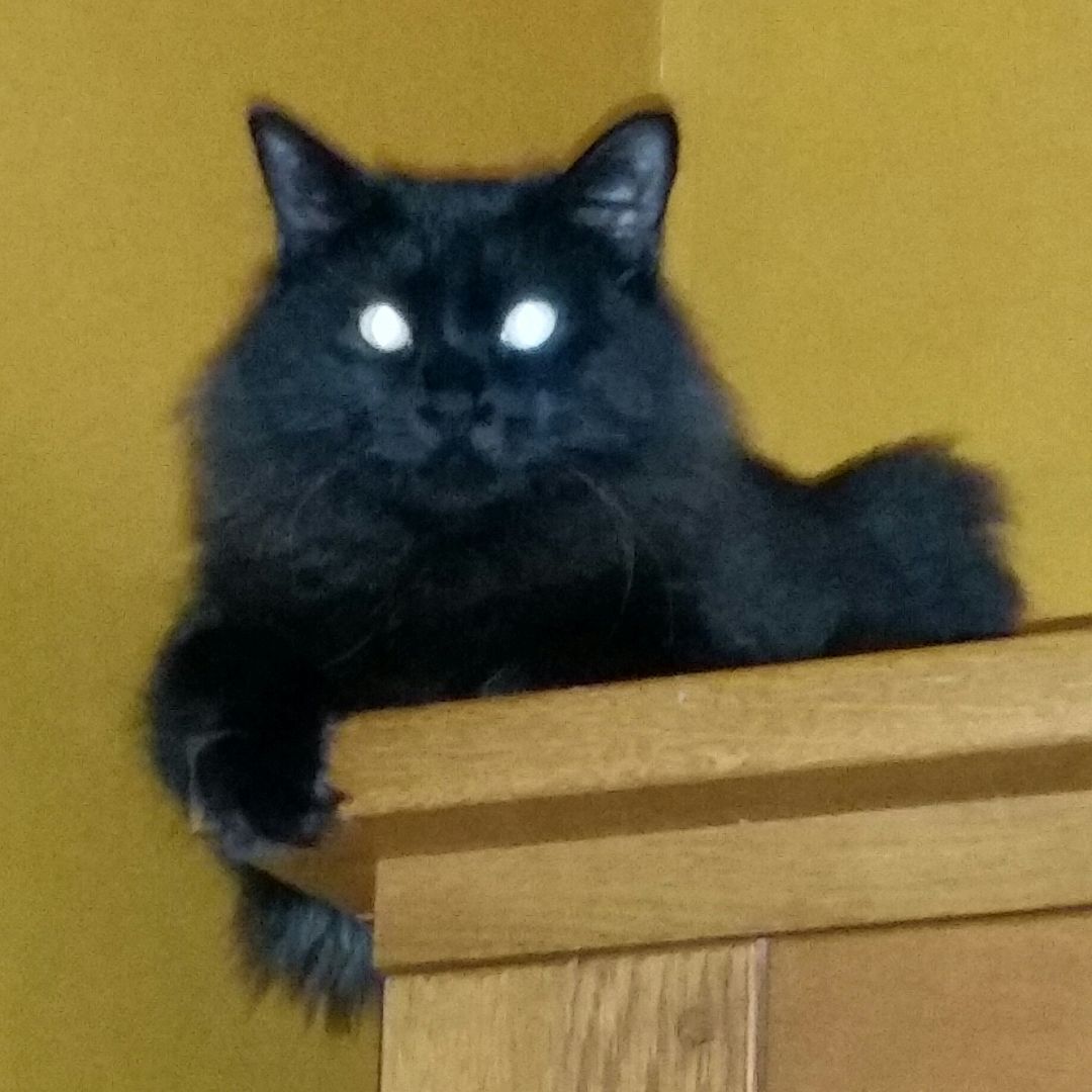 Mystique thumbnail 4