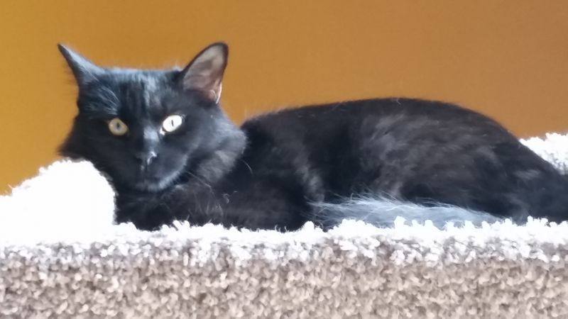 Mystique thumbnail 5