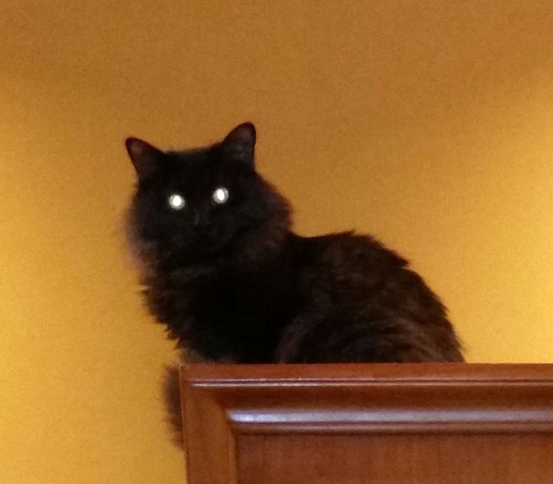 Mystique thumbnail 6