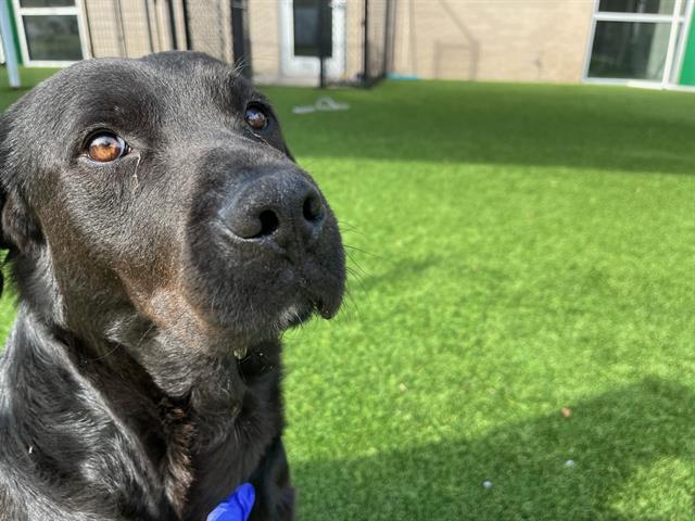 SCOTT — thumbnail 2