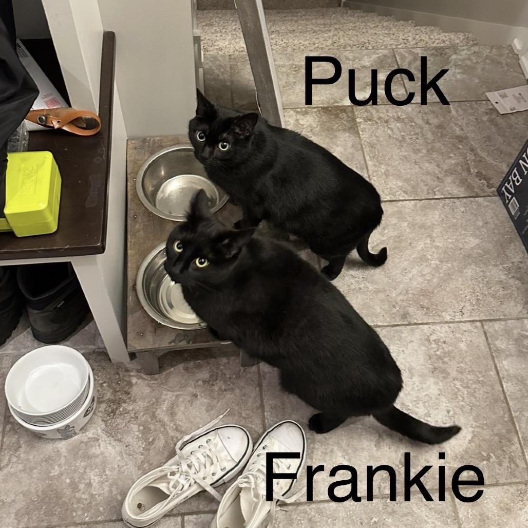 Frankie