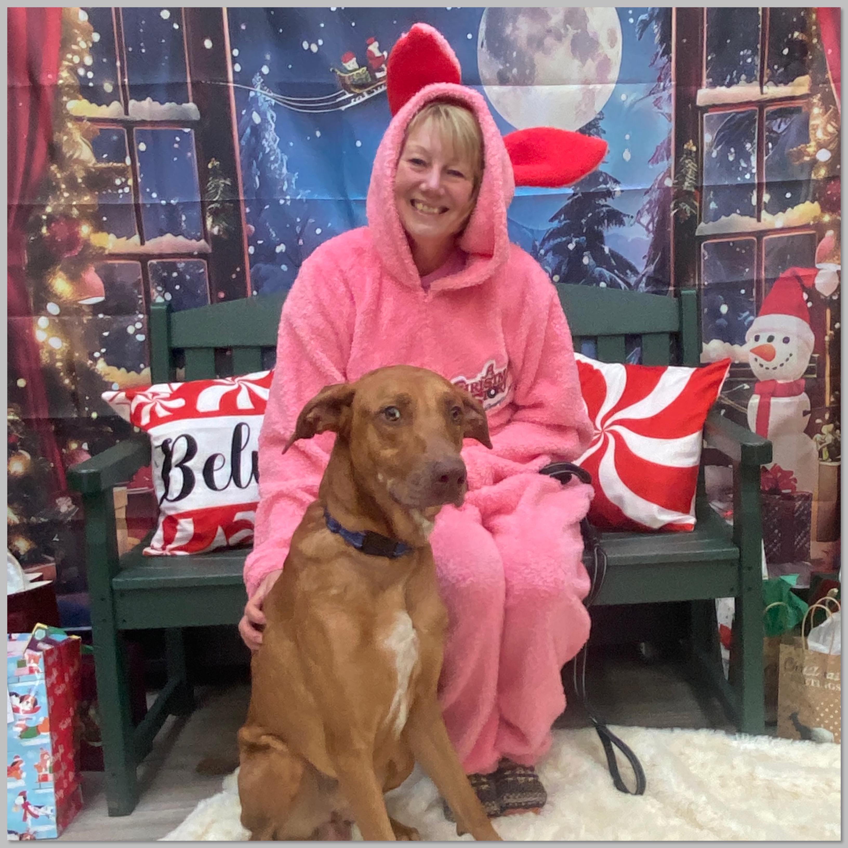 Enlarge Creed, an adopted mixed breed in Elyria, OH image 2/6