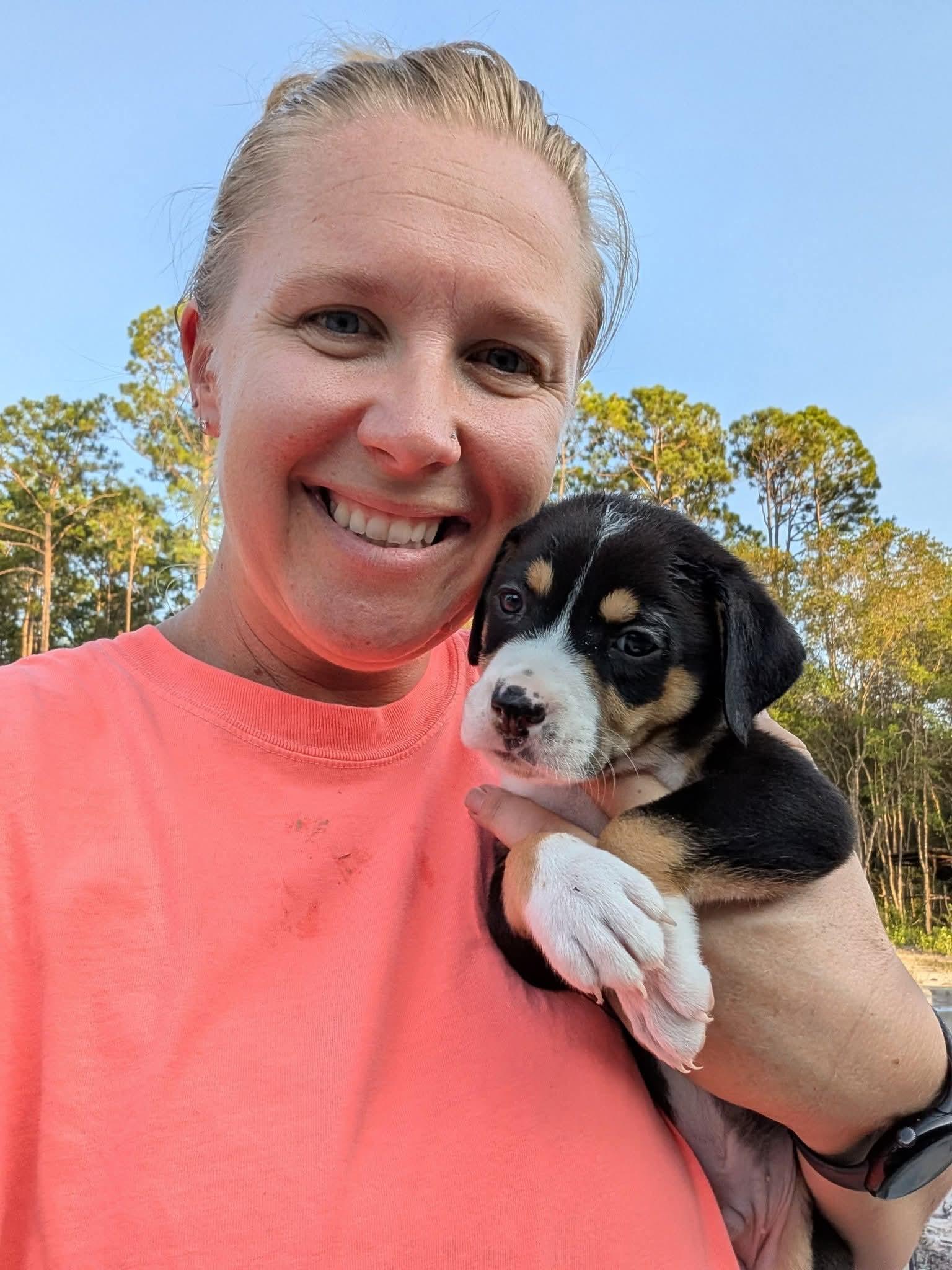 Enlarge Teddie, a Adopted mixed breed in Jacksonville, FL image 3/4