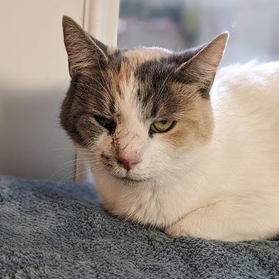 Sandra Green thumbnail 4