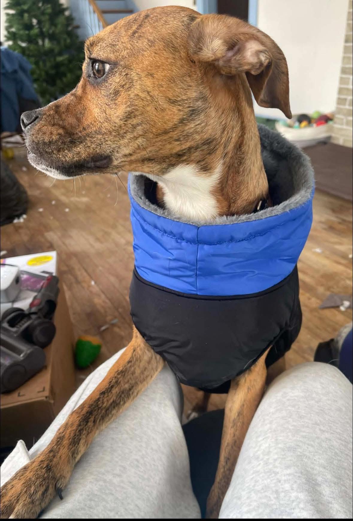 Mr. Carl Bones (in New England) — thumbnail 3