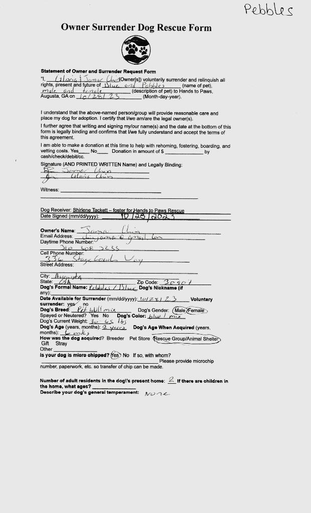 Enlarge Blue (Buster), a Adoptable American Staffordshire Terrier in Augusta, GA image 5/6