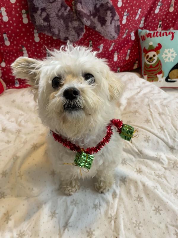 Christopher thumbnail 4