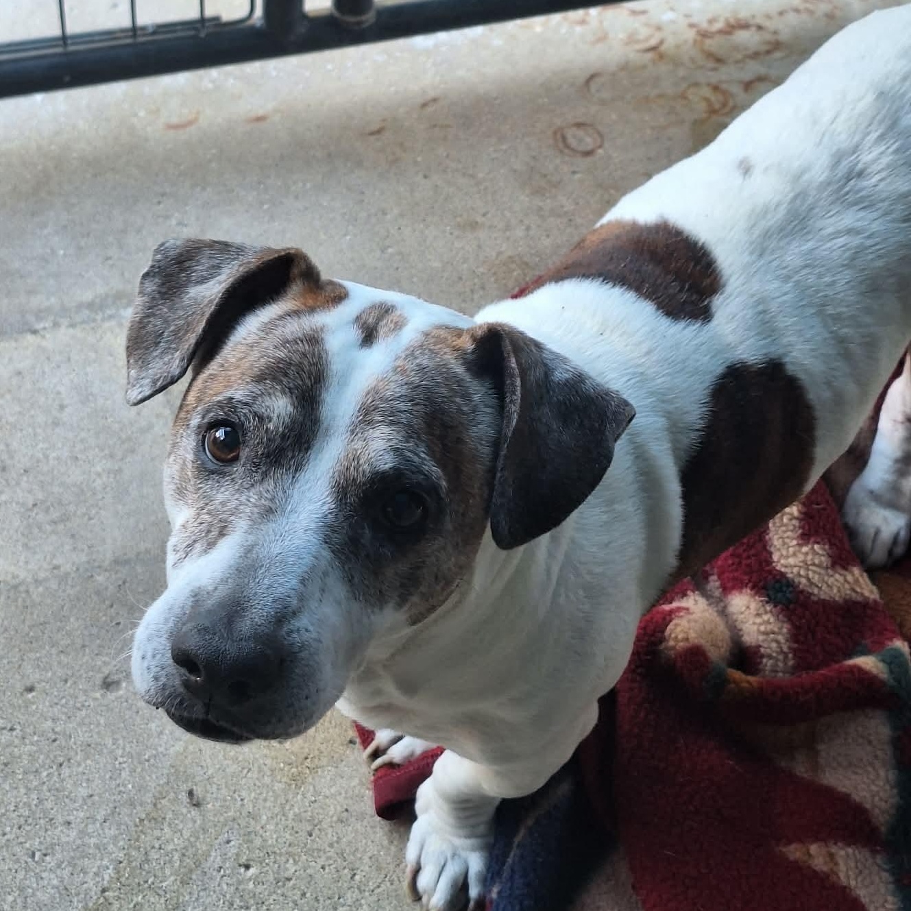 Otis — thumbnail 2