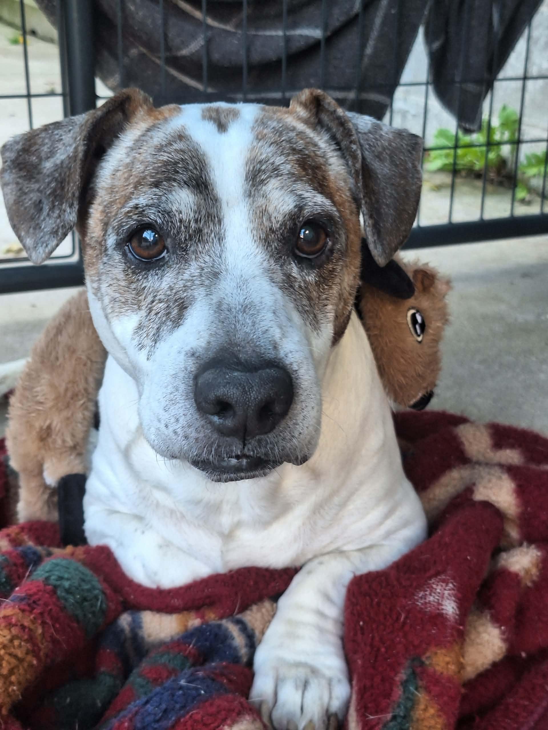 Otis — thumbnail 3