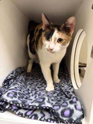 gloria — thumbnail 2