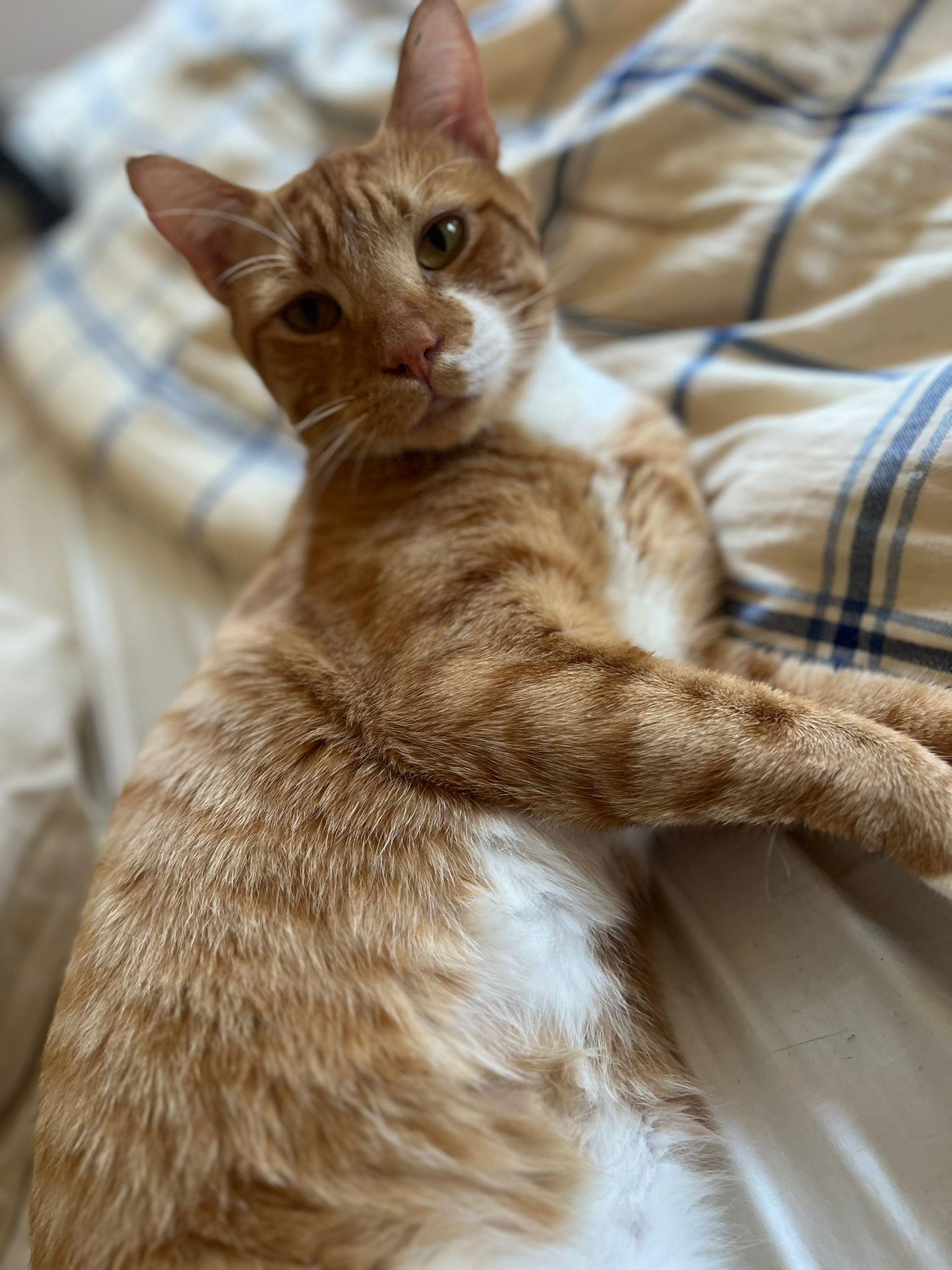 Leonardo N. ~~ Sweet boy