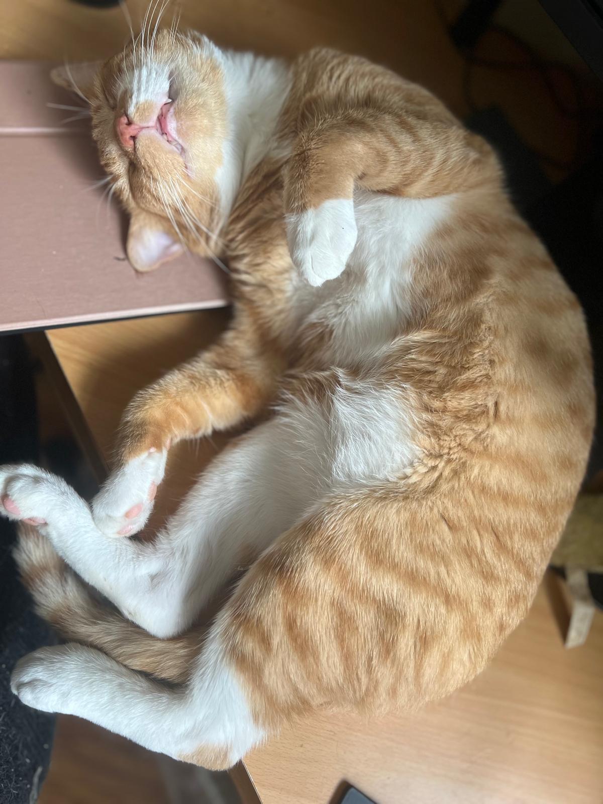 Leonardo N. ~~ Sweet boy