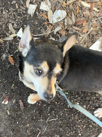 Negan — thumbnail 5