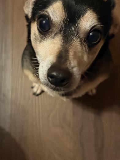 Negan — thumbnail 6