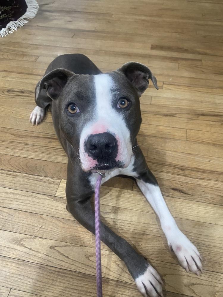 Angela — thumbnail 4