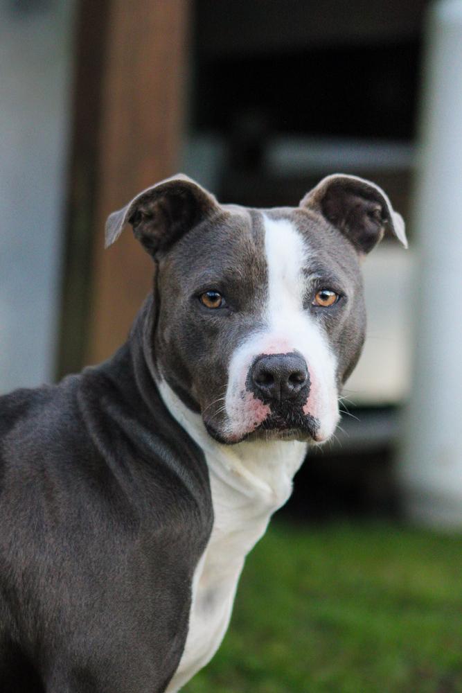 Angela — thumbnail 5