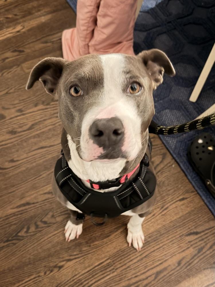 Angela — thumbnail 6