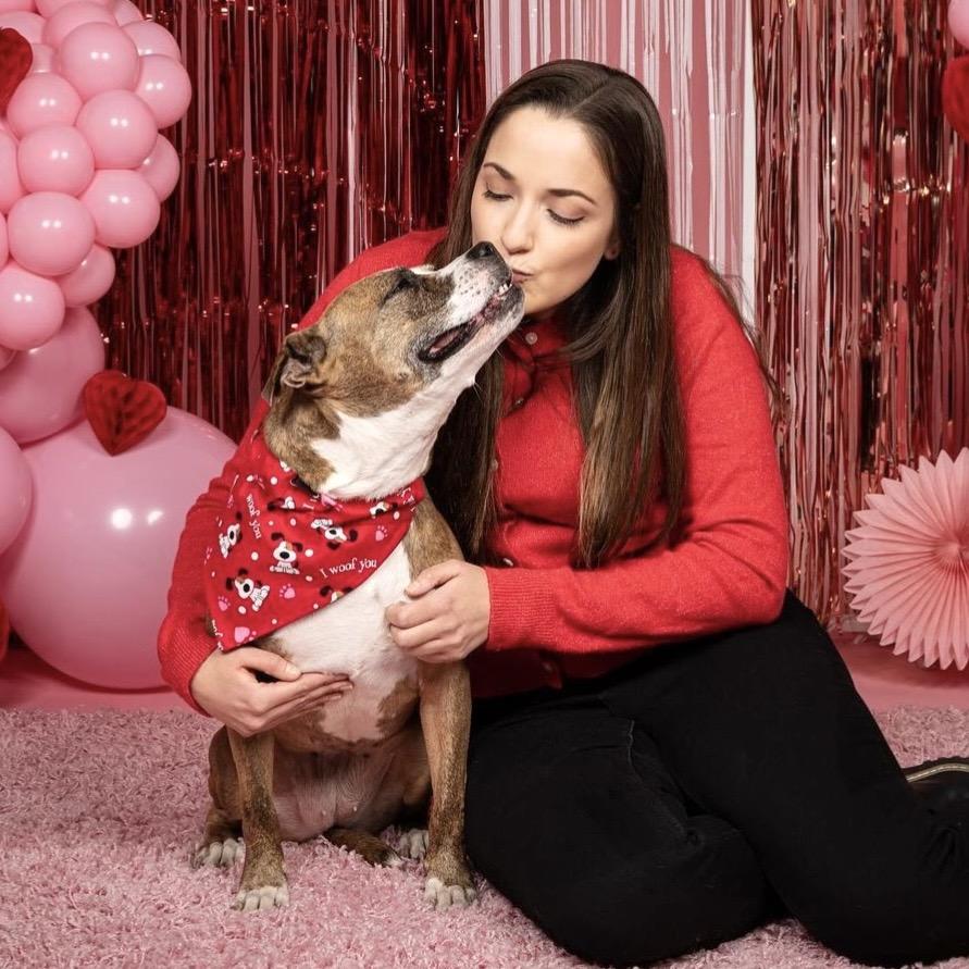 Enlarge Trixie, a Adoptable Pit Bull Terrier in Chicago, IL image 1/5