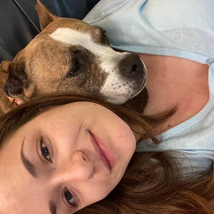 Enlarge Trixie, a Adoptable Pit Bull Terrier in Chicago, IL image 4/5