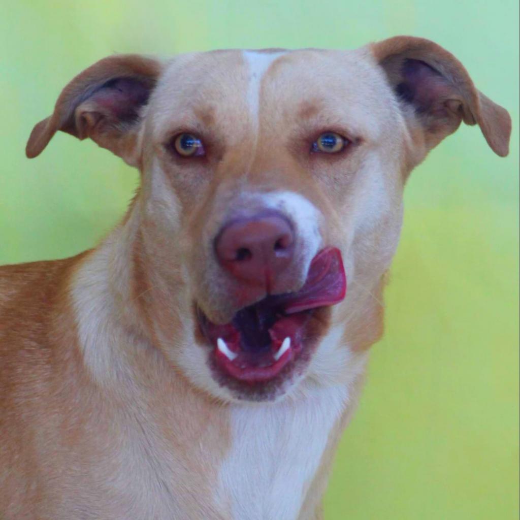 Allie Jr thumbnail 4