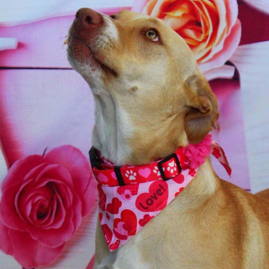 Allie Jr thumbnail 5