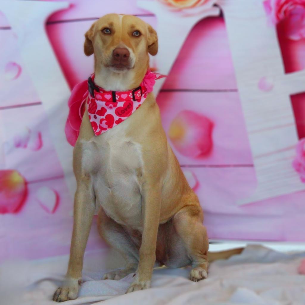 Allie Jr thumbnail 6