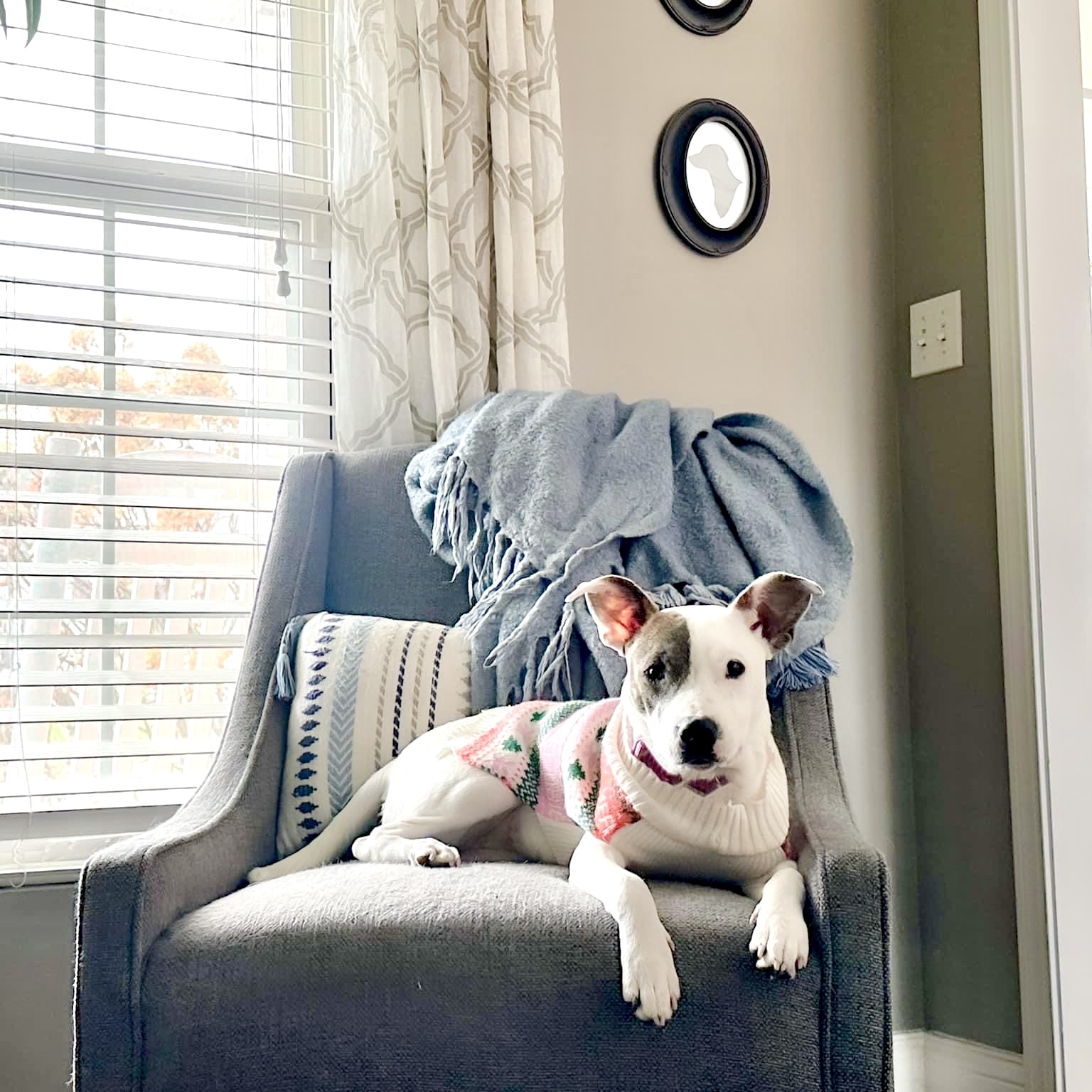 Greta