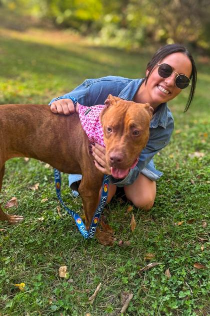 Goldleaf thumbnail 3