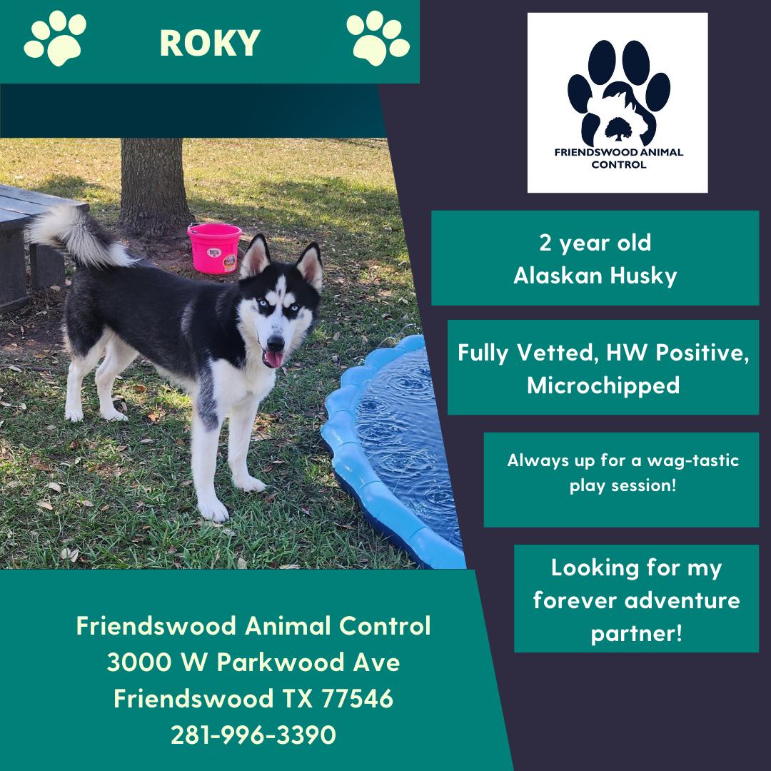 Roky 2