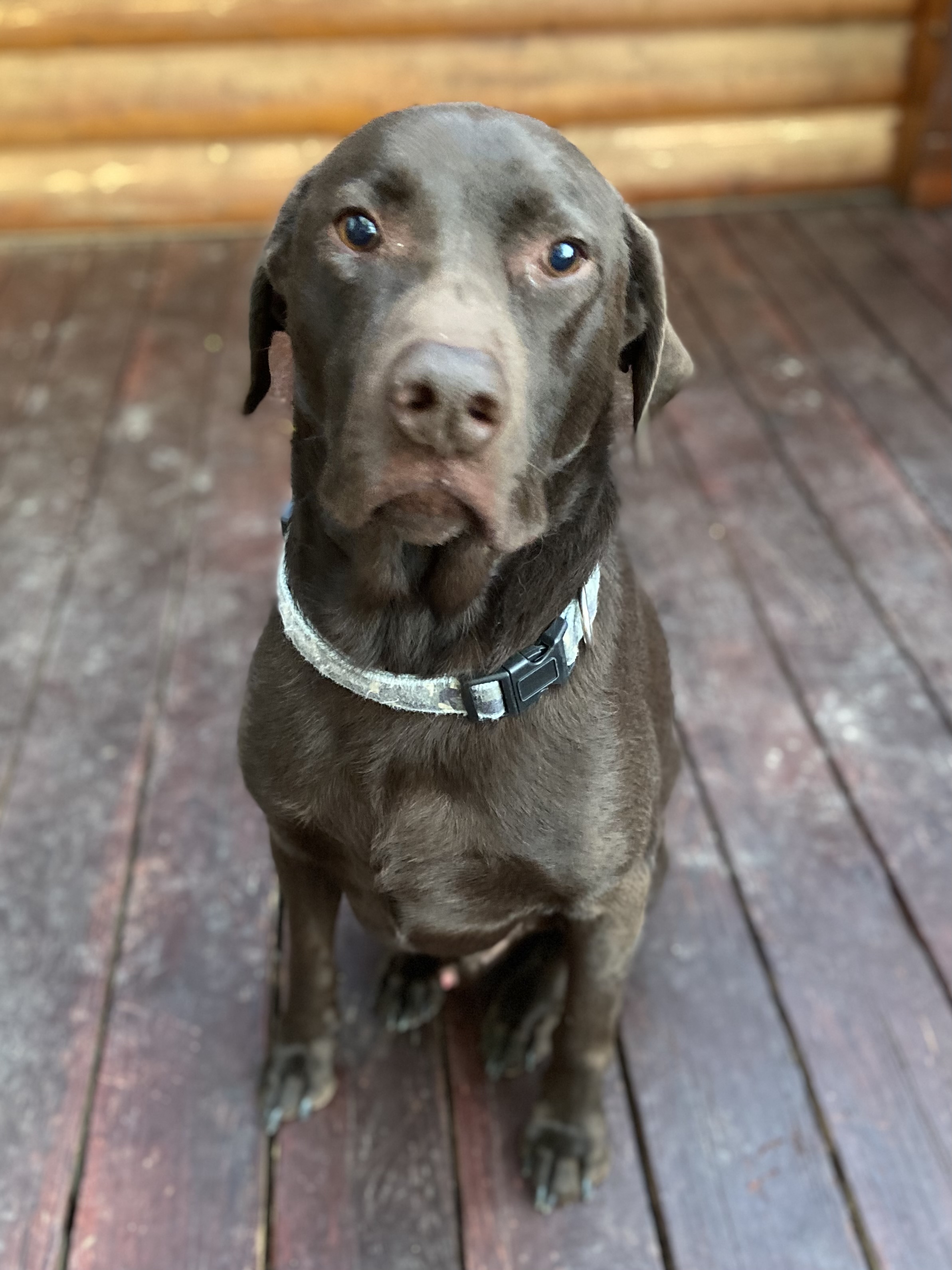 Max 2