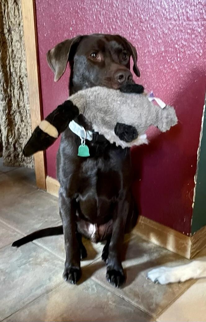 Max