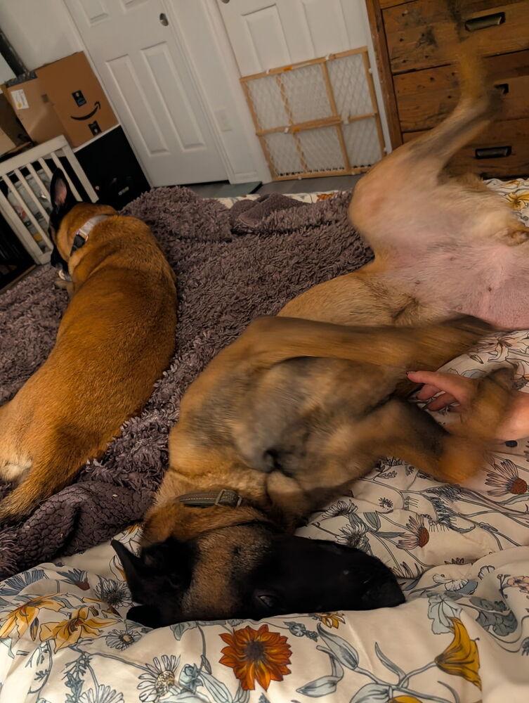 Daisy Duke  Located thumbnail 2