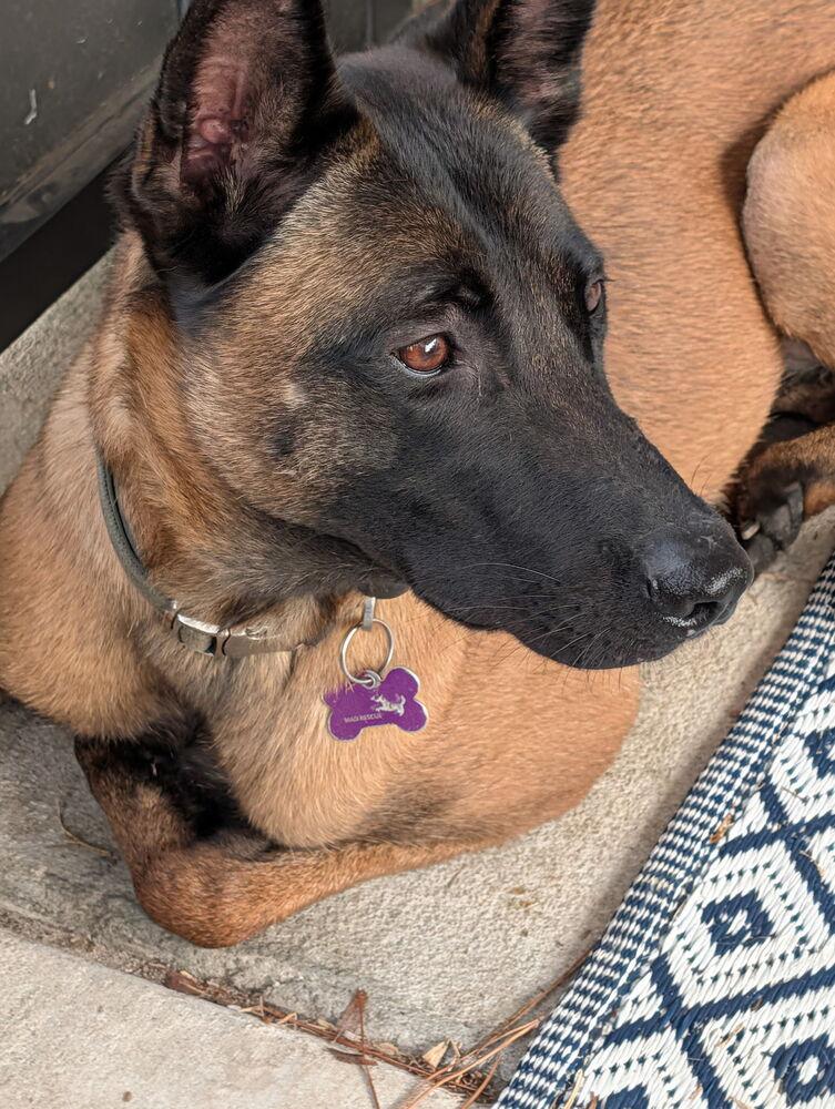 Daisy Duke  Located thumbnail 3