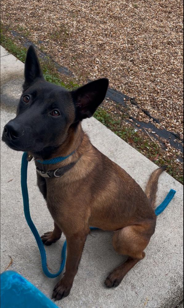 Daisy Duke  Located thumbnail 4