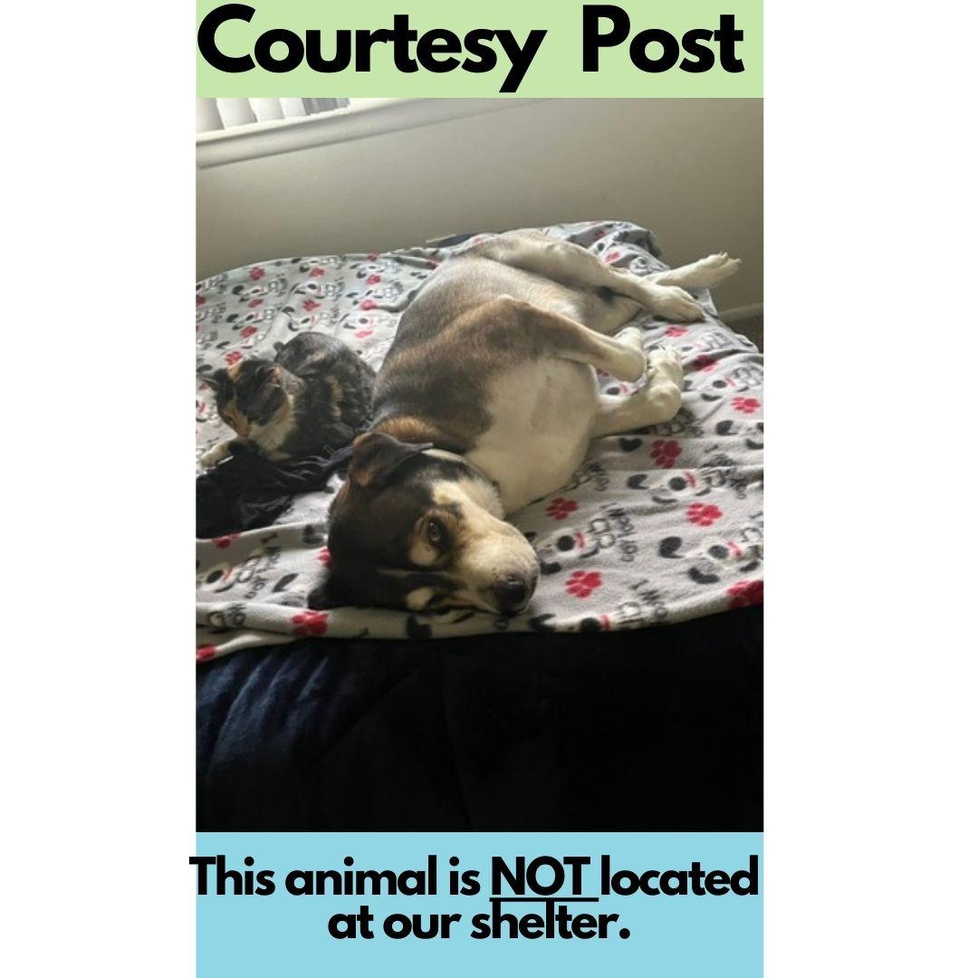 **PLEASE READ FULL DESCRIPTION** Sam E.