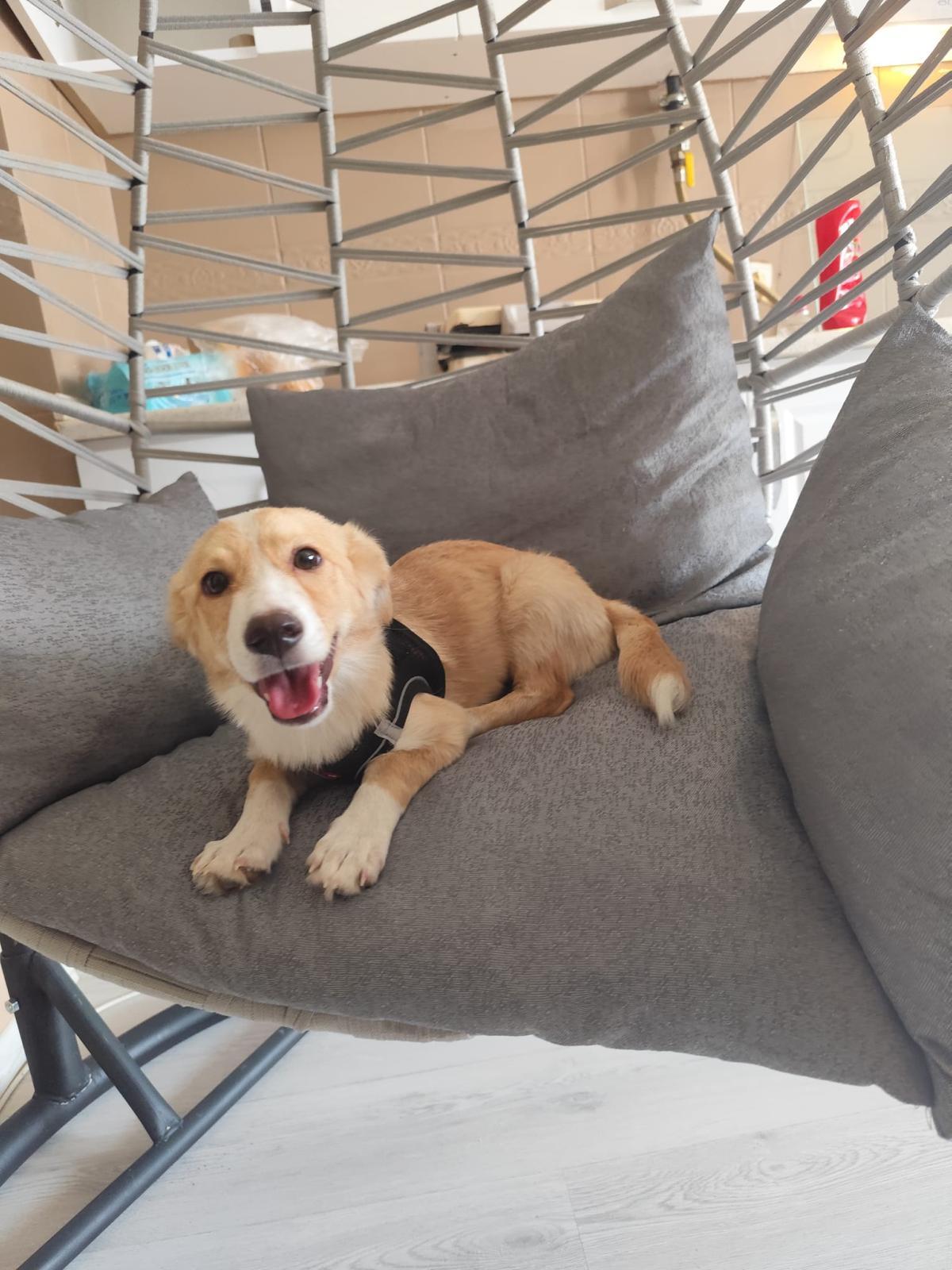 Ms. Sunshine Zuzu