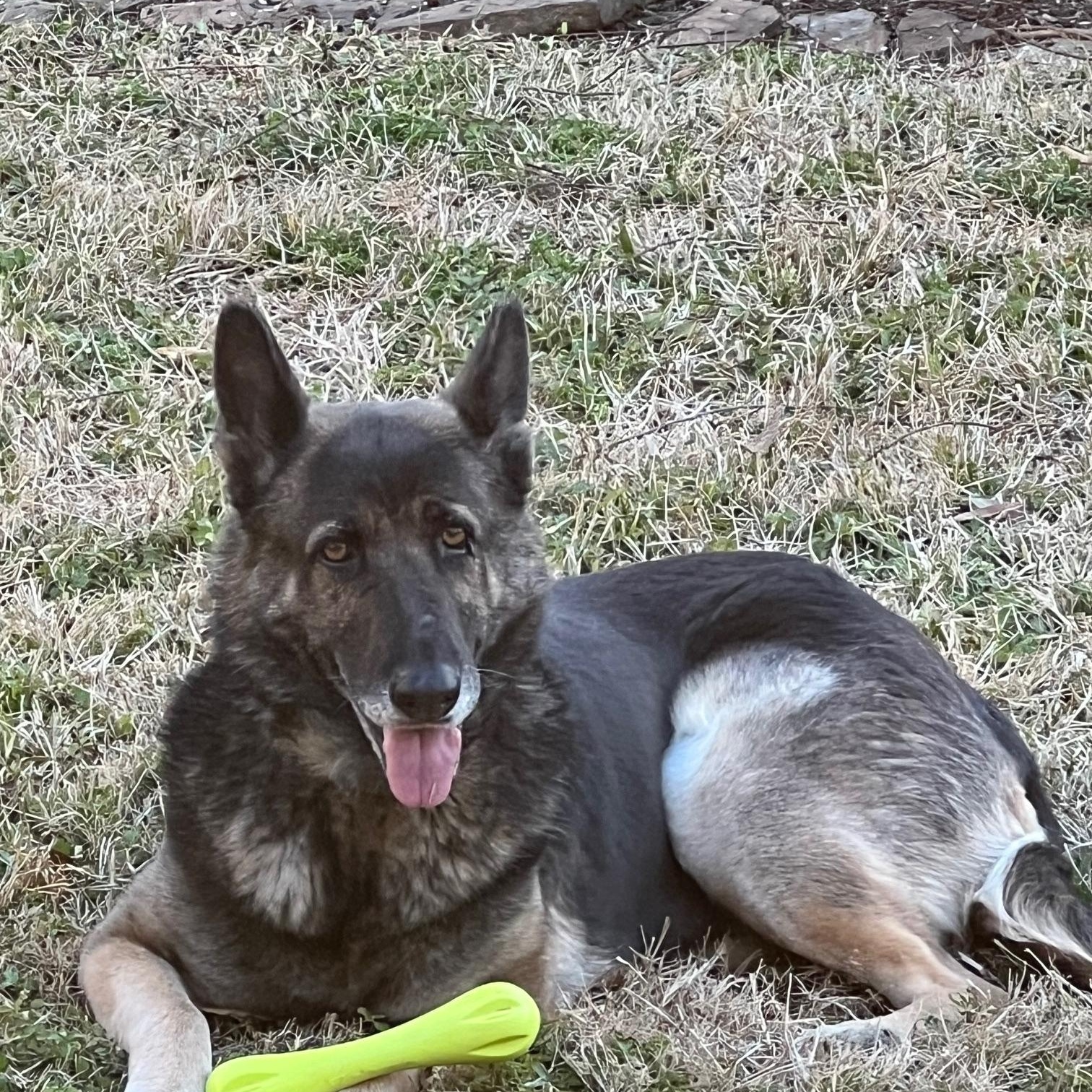 Britta — thumbnail 5