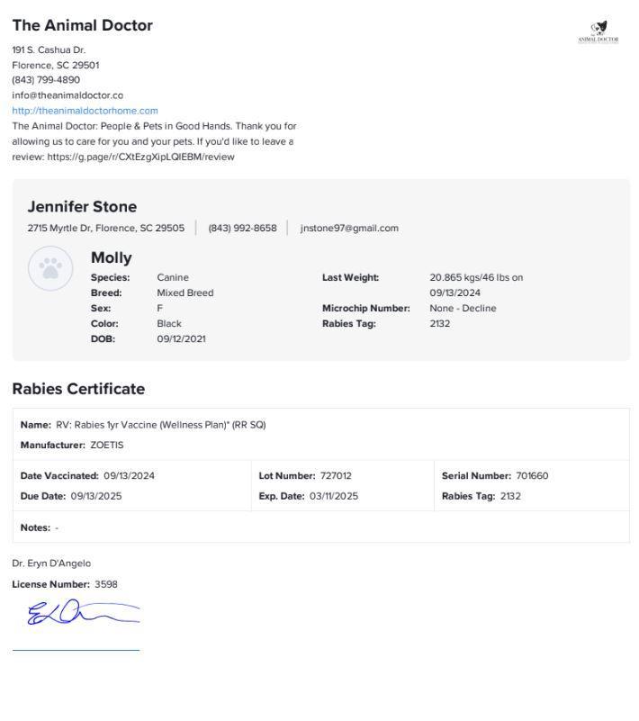 Enlarge Molly, a Adoptable mixed breed in Florence, SC image 4/5