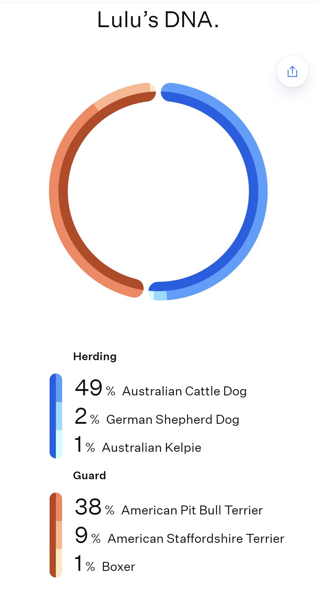 Lulu, a Adoptable mixed breed in Naperville, IL image 6/6