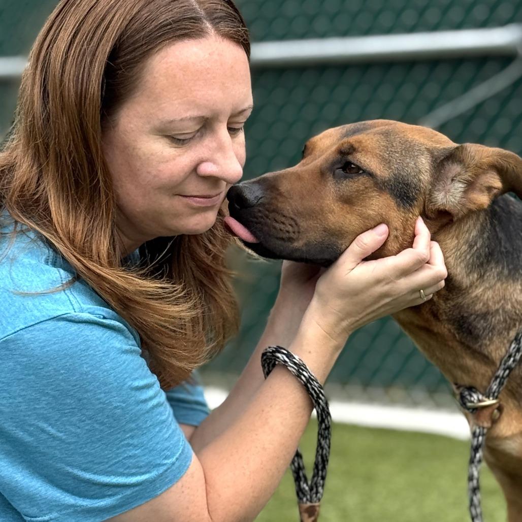 Marigold, a Adoptable mixed breed in Nashville, IN image 2/6